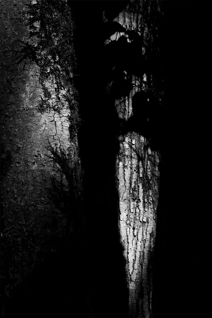 Abstract study of the built environment.