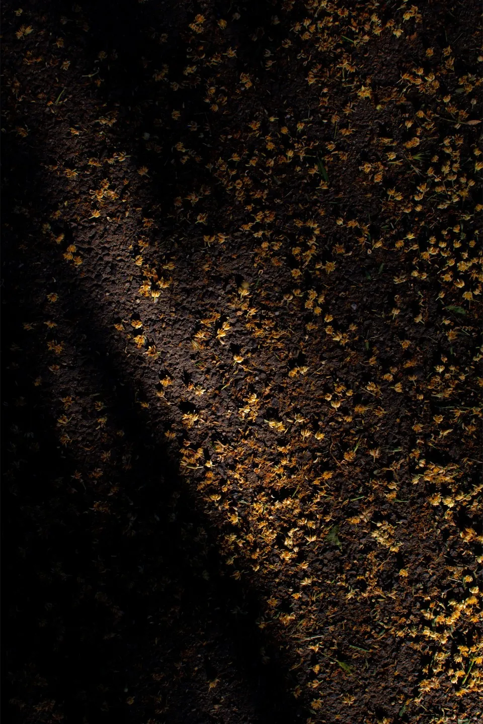 Abstract study of the built environment.