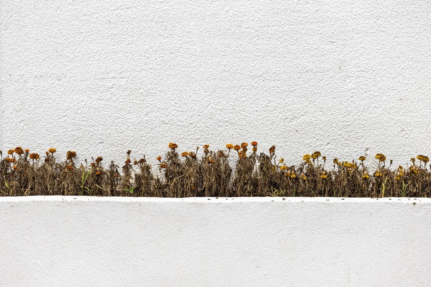Abstract study of the built environment.